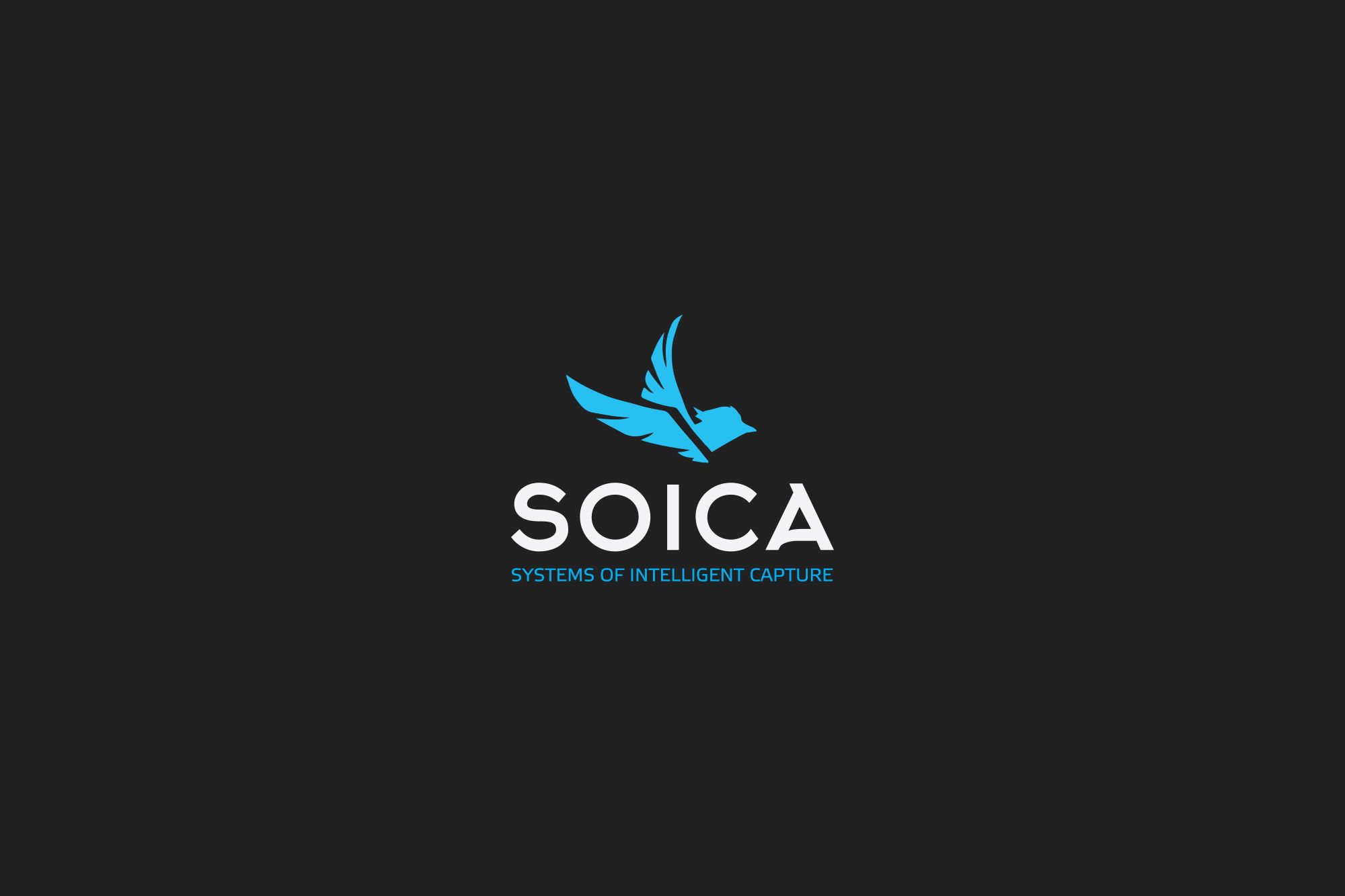 Лого и фирменный стиль для SOICA - дизайнер Da4erry