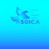 Лого и фирменный стиль для SOICA - дизайнер shagi66