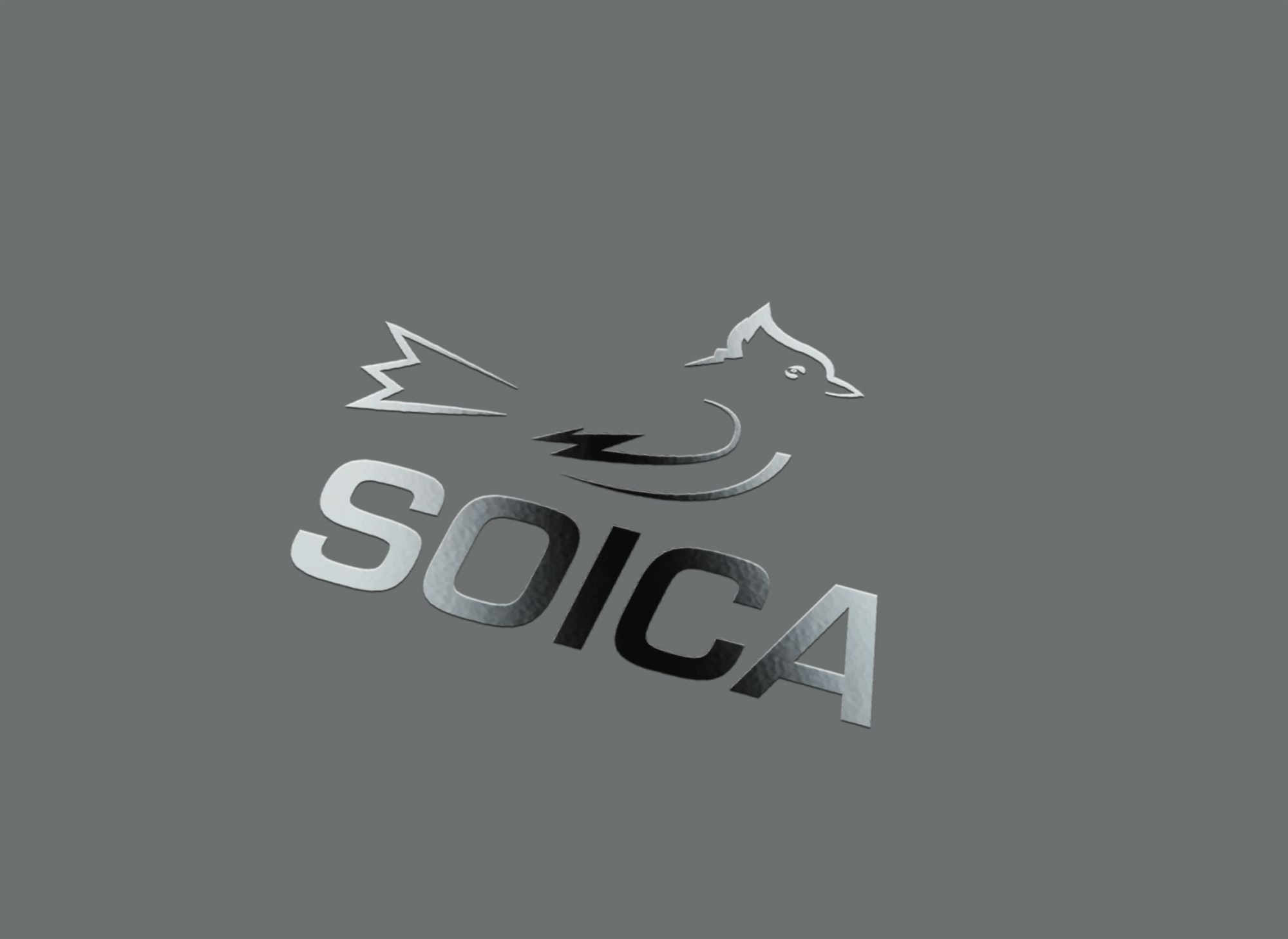 Лого и фирменный стиль для SOICA - дизайнер AngelS13