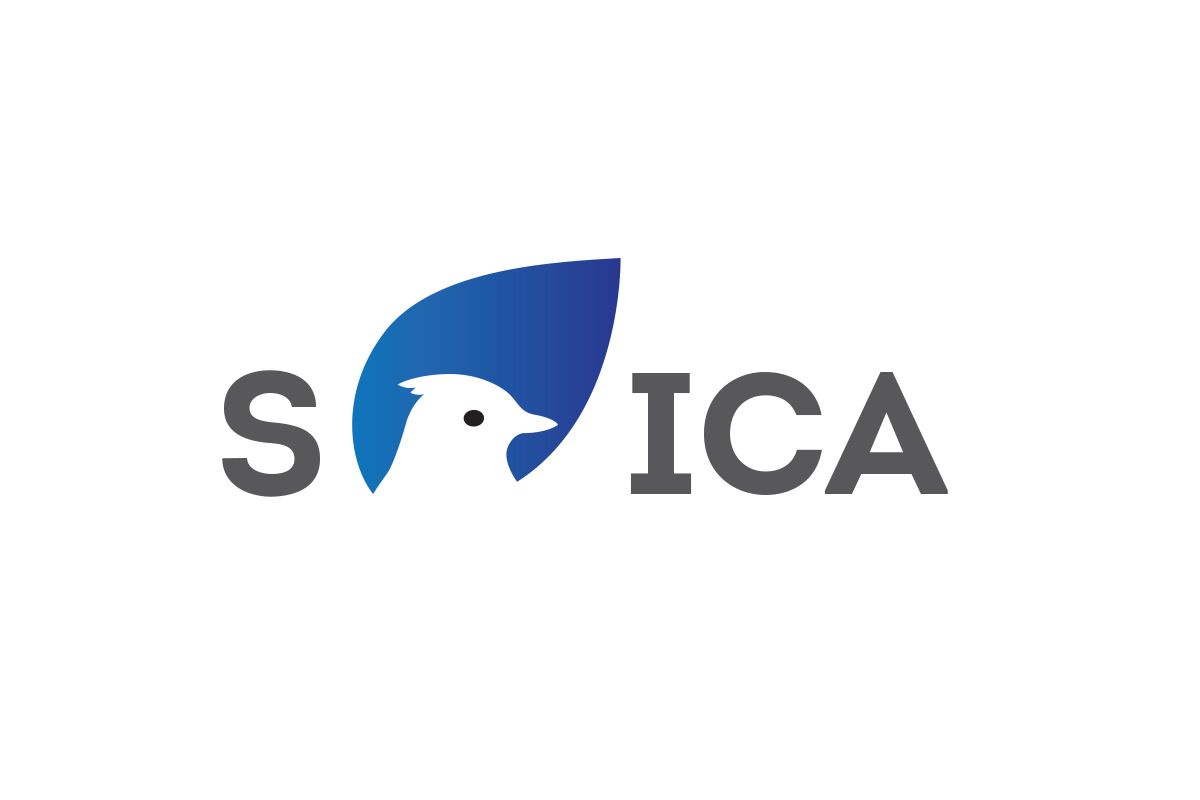 Лого и фирменный стиль для SOICA - дизайнер VF-Group