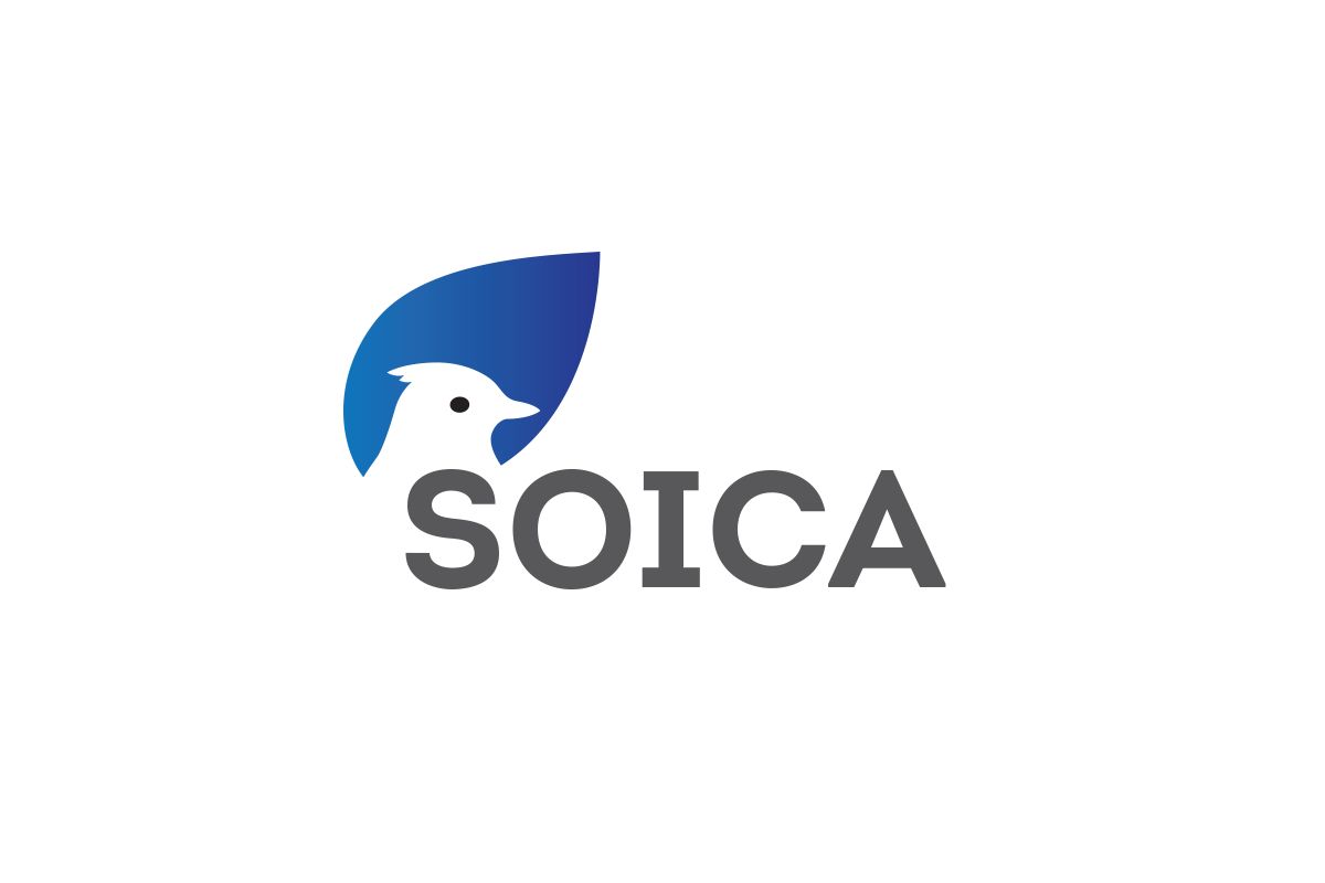 Лого и фирменный стиль для SOICA - дизайнер VF-Group