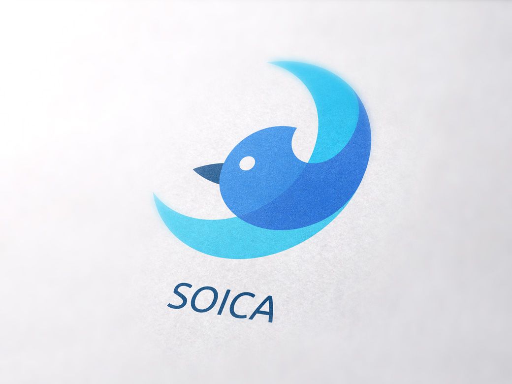 Лого и фирменный стиль для SOICA - дизайнер papillon