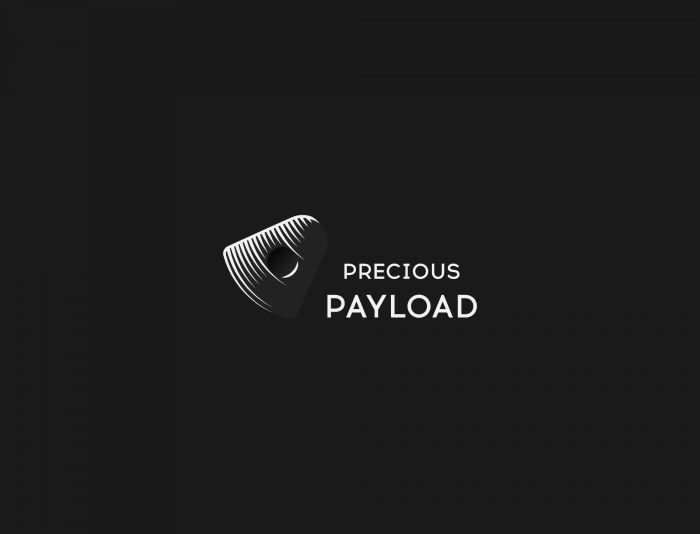 Логотип для Precious Payload  - дизайнер SANITARLESA