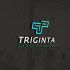Логотип для Тригинта (Triginta) - дизайнер Da4erry