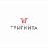 Логотип для Тригинта (Triginta) - дизайнер SobolevS21