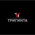 Логотип для Тригинта (Triginta) - дизайнер SobolevS21