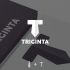 Логотип для Тригинта (Triginta) - дизайнер Kirill_Turygin