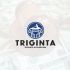 Логотип для Тригинта (Triginta) - дизайнер logo93