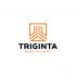 Логотип для Тригинта (Triginta) - дизайнер shamaevserg