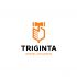Логотип для Тригинта (Triginta) - дизайнер shamaevserg