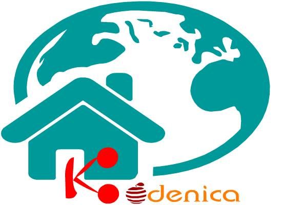 Лого и фирменный стиль для Kodenika / Коденика - дизайнер gulrukh8591