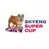Логотип для Skyeng Super Cup - дизайнер andblin61
