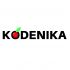 Лого и фирменный стиль для Kodenika / Коденика - дизайнер ArsArtemiy