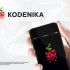 Лого и фирменный стиль для Kodenika / Коденика - дизайнер webgrafika