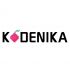 Лого и фирменный стиль для Kodenika / Коденика - дизайнер comicdm