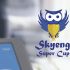 Логотип для Skyeng Super Cup - дизайнер lan_max_ser