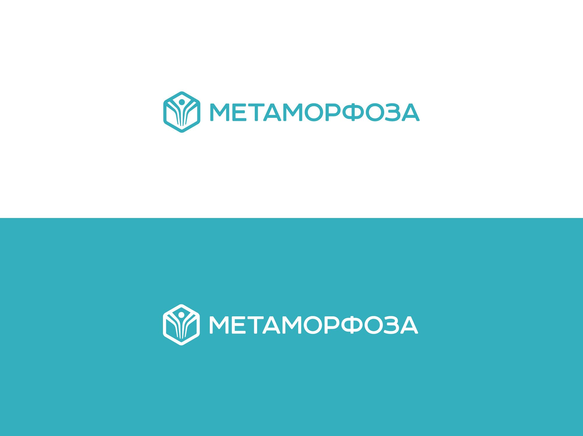Лого и фирменный стиль для Метаморфоза - дизайнер shamaevserg