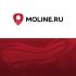 Логотип для MOLINE.RU - дизайнер Collage