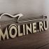 Логотип для MOLINE.RU - дизайнер janemih52411