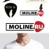 Логотип для MOLINE.RU - дизайнер Twist_and_Shout
