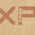Логотип для XP Brew - дизайнер littleOwl