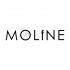Логотип для MOLINE.RU - дизайнер alin