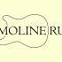 Логотип для MOLINE.RU - дизайнер BlackLilium