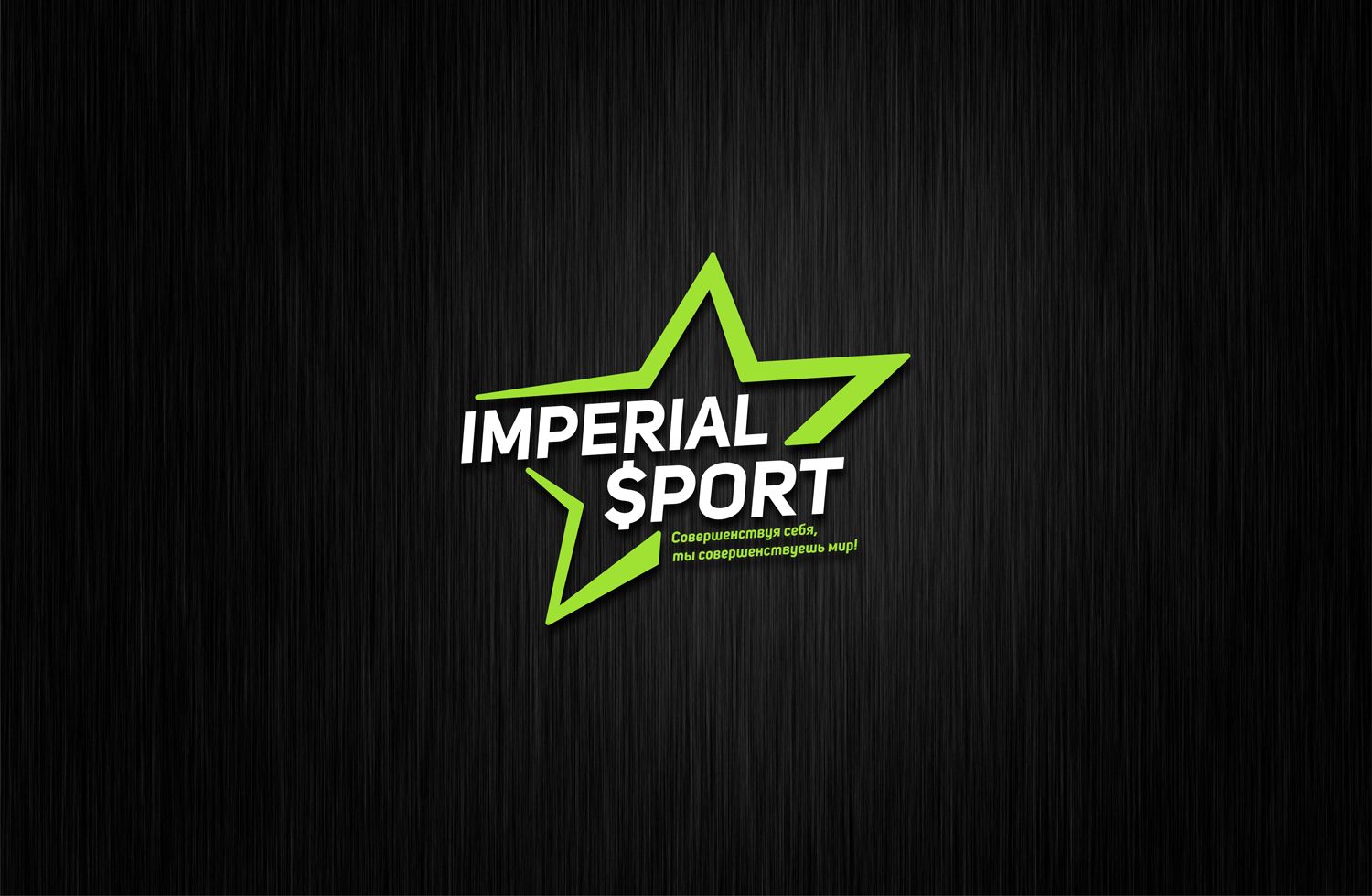 Лого и фирменный стиль для Imperial$port - дизайнер Yuliya_23