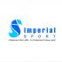 Лого и фирменный стиль для Imperial$port - дизайнер pilotdsn