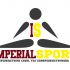 Лого и фирменный стиль для Imperial$port - дизайнер Ayolyan