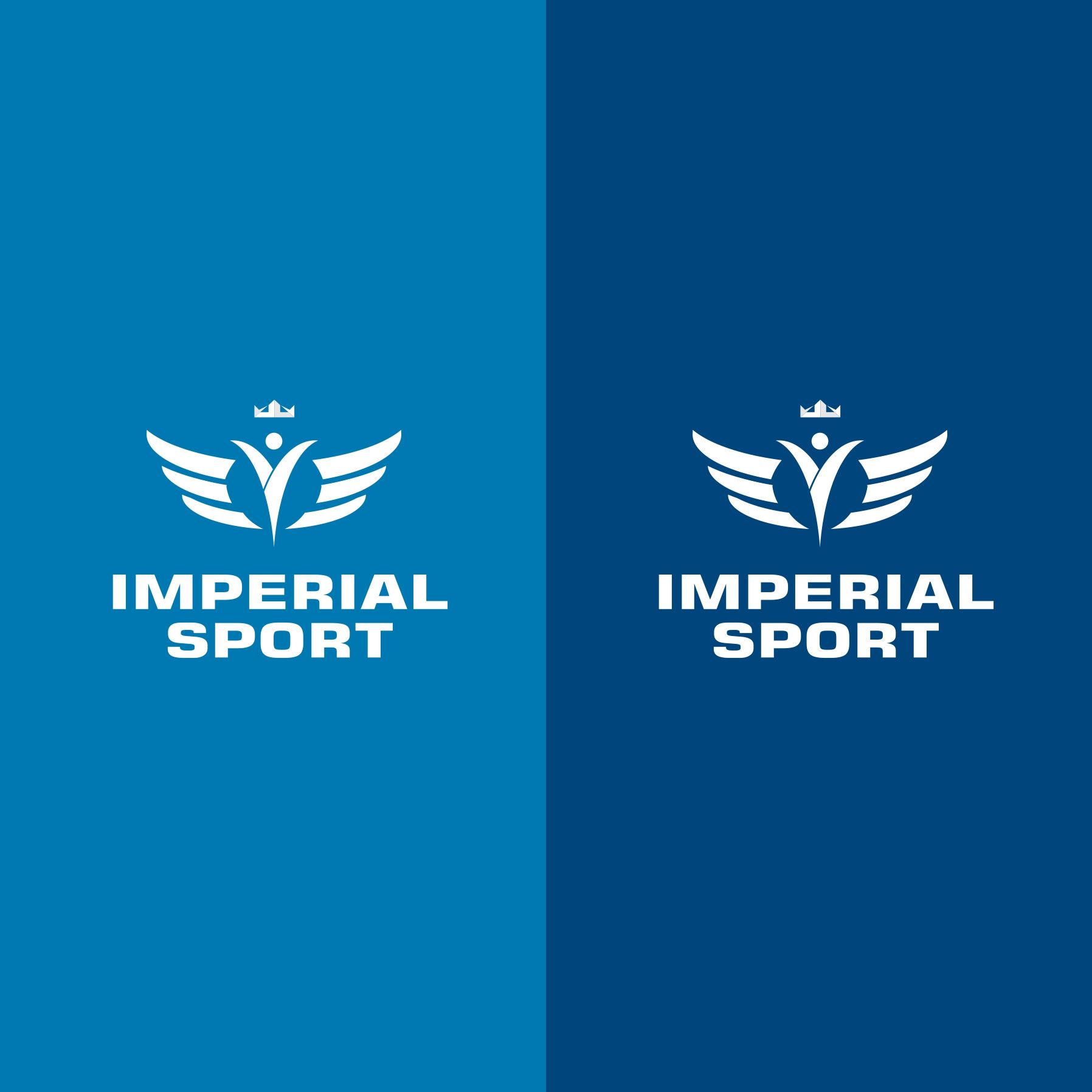 Лого и фирменный стиль для Imperial$port - дизайнер AnatoliyInvito