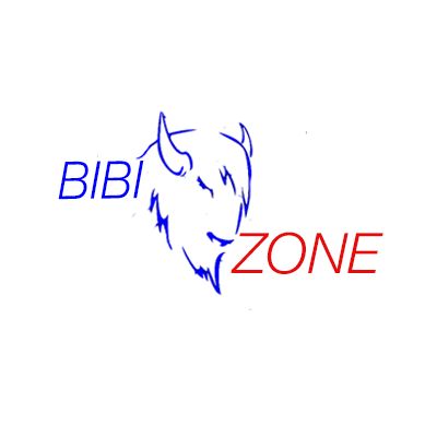 Логотип для bibizone.ru - дизайнер liana5991