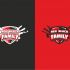Логотип для Логотип для клуба игры в мафию Red Black Family - дизайнер designer79