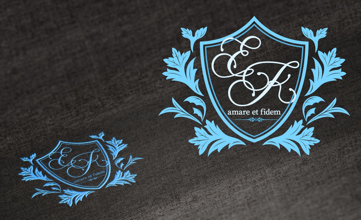 Логотип для молодой семьи (фамильный герб) - дизайнер TimTadd
