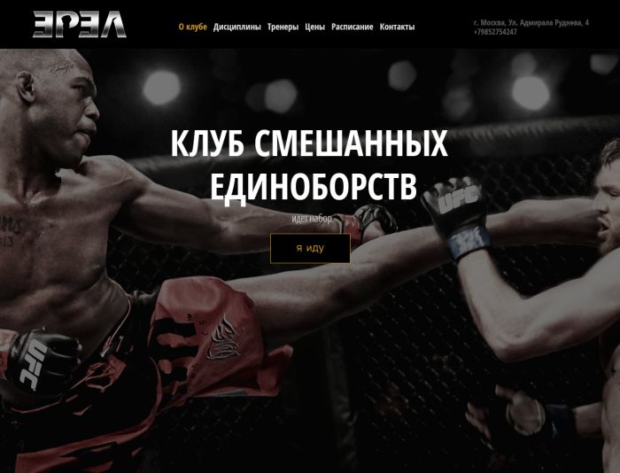 Landing page для erelmma.ru - дизайнер karbivskij
