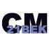 Логотип для СМ-21 ВЕК - дизайнер Shura2099