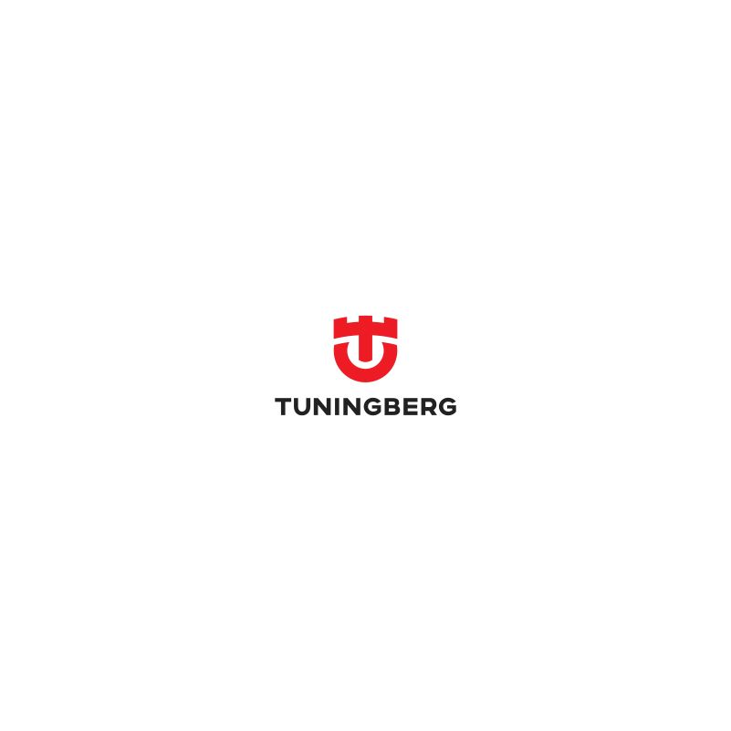 Логотип для Tuningberg - дизайнер luckylim