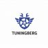 Логотип для Tuningberg - дизайнер rowan