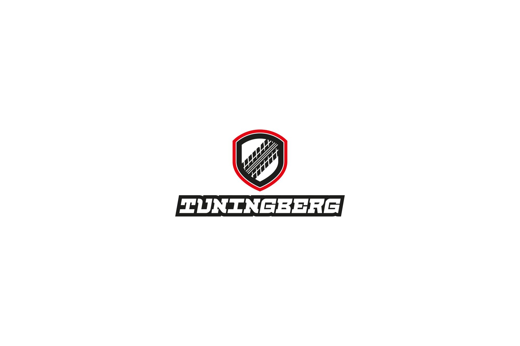 Логотип для Tuningberg - дизайнер Teriyakki