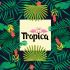 Логотип для Tropica - дизайнер studiodivan