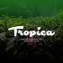 Логотип для Tropica - дизайнер Bizko