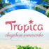 Логотип для Tropica - дизайнер evelina_yaxina