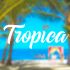 Логотип для Tropica - дизайнер NukeD