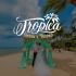 Логотип для Tropica - дизайнер kras-sky