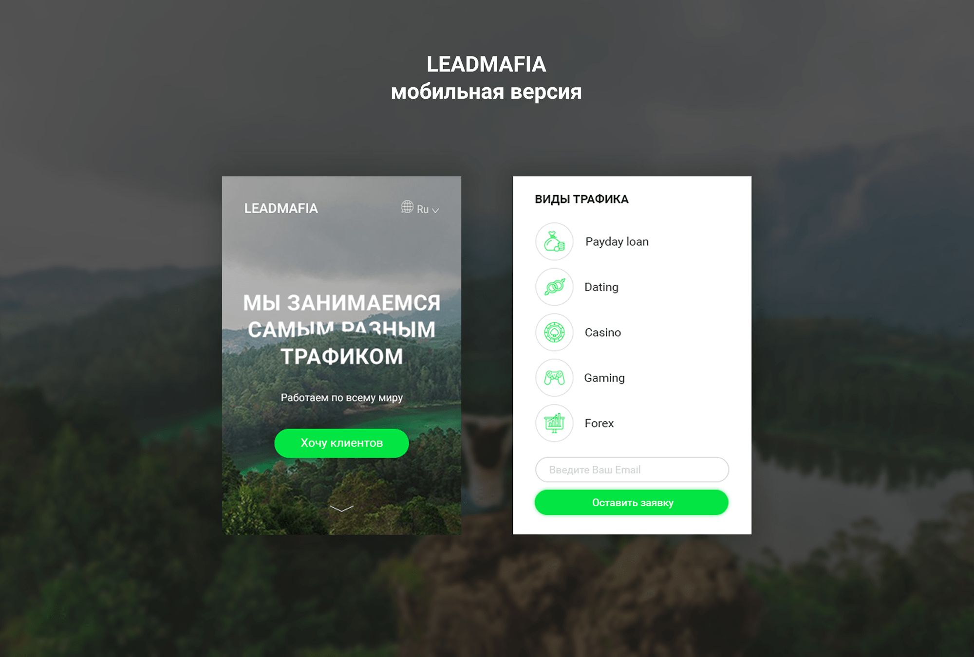 Landing page для Leadmafia - дизайнер chebdesign