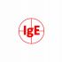 Логотип для IgE - дизайнер Zastava