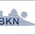 Логотип для BKN (ребрендинг) - дизайнер kargolll