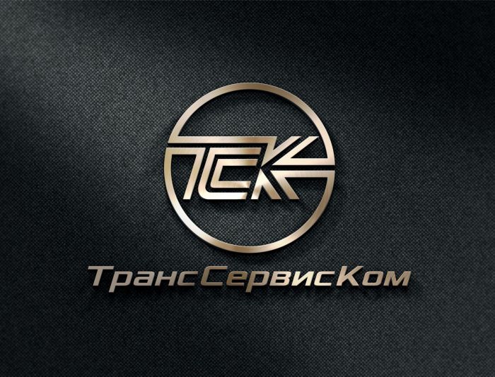 Лого и фирменный стиль для ТранСервисКом (или ТСК) - дизайнер PAPANIN