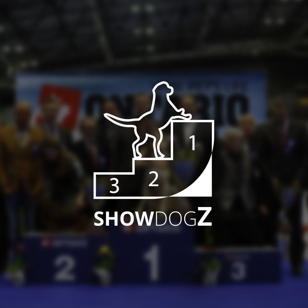 Логотип для showdogz - дизайнер novostudios