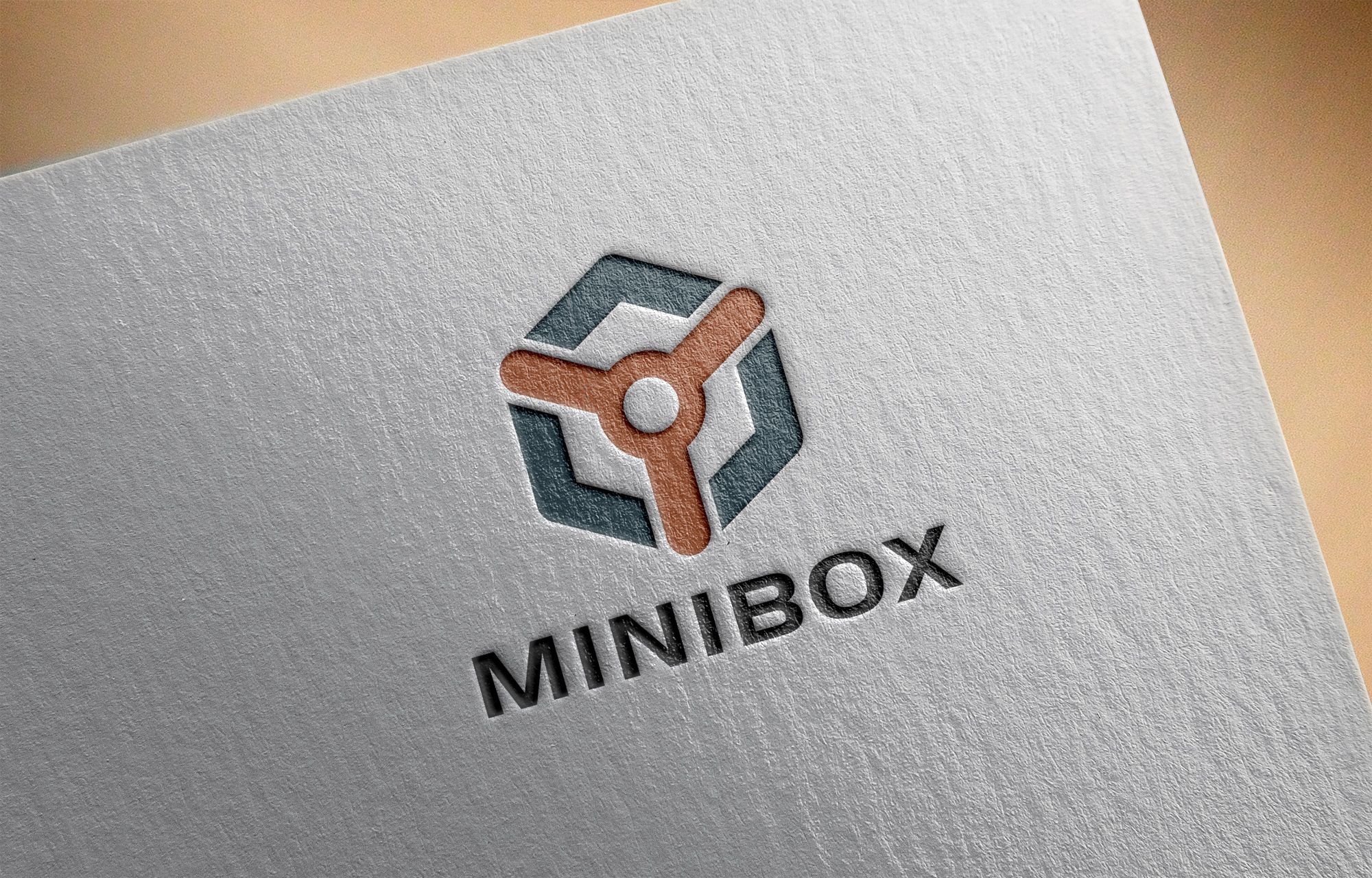 Лого и фирменный стиль для MINIBOX - дизайнер erkin84m